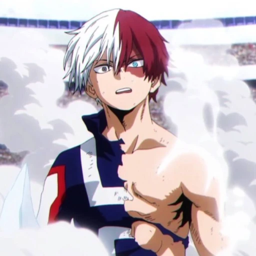 popular todoroki