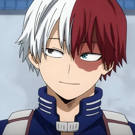 shoto todoroki 😏