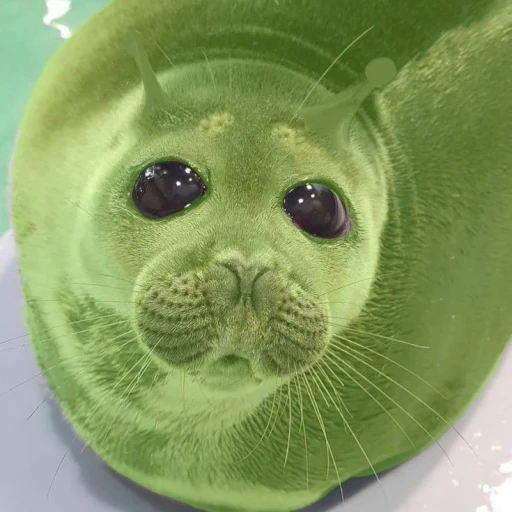 ✿ Silly Alien Seal ✿