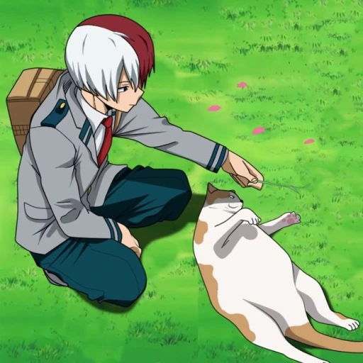 Shoto Todoroki (2)