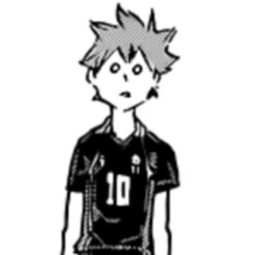Hinata Shoyo