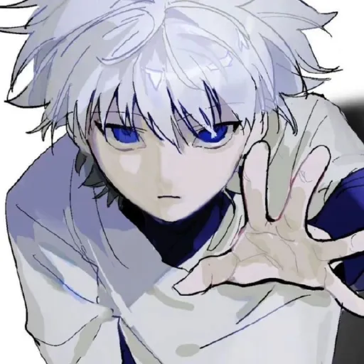 Killua Zoldyck || 🍃