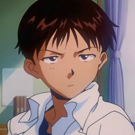 Shinji Ikari✩‧₊˚*