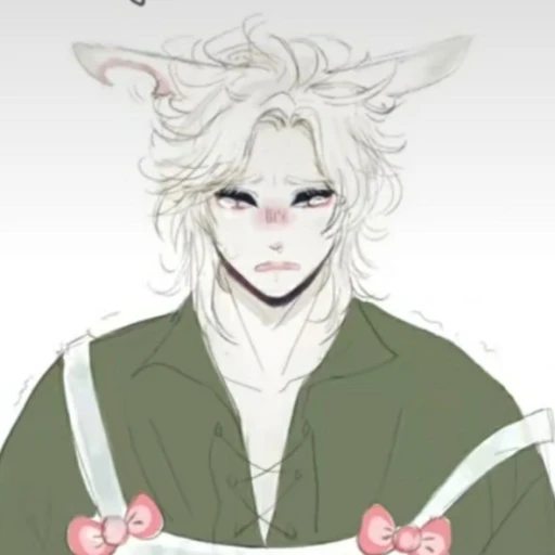 Mr. Usagi