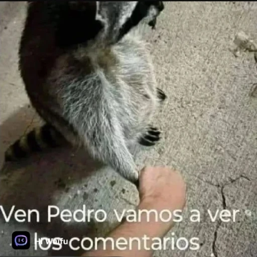 Announcement¿ News¿