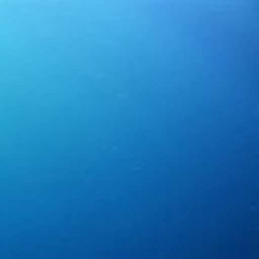 Finn