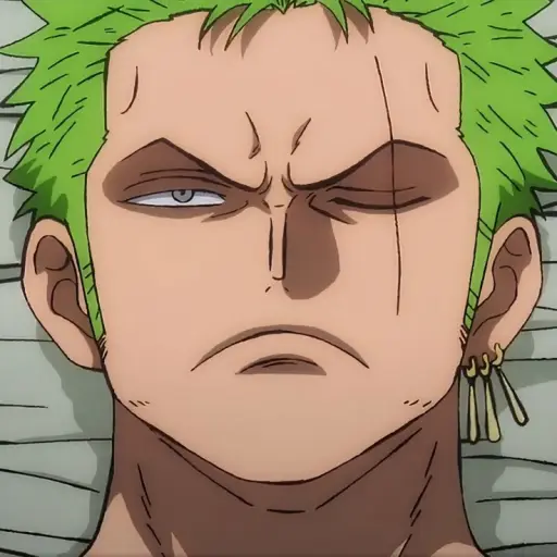 ///Roronoa Zoro/// ☆•°