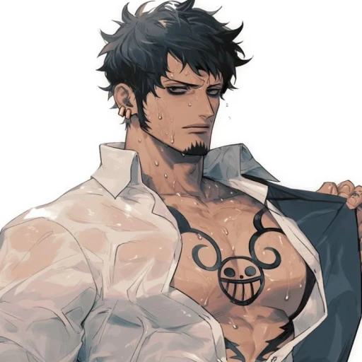 Trafalgar D Law