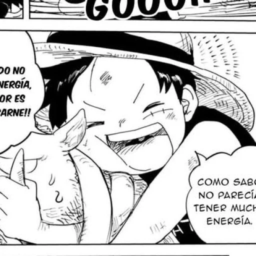 ✧˖°. ⋆。˚(Monkey D. Luffy)。・:*˚:✧。