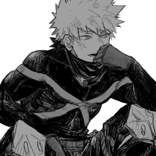 Katsuki Bakugou ✿᭄