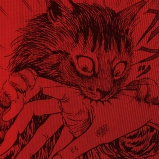⊱┊Little Cat ˊ-