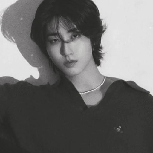 Han Jisung (minsung)