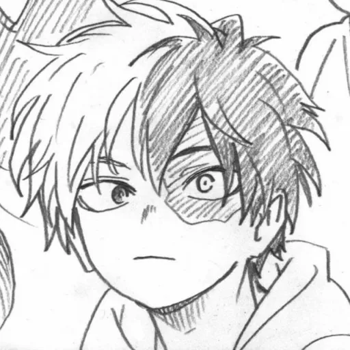 -Shoto Todoroki-