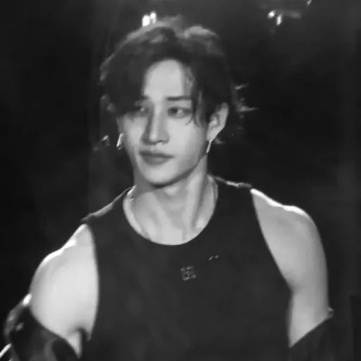 ✦ Bang Chan