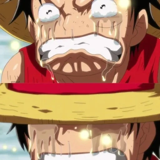 the crying Luffys