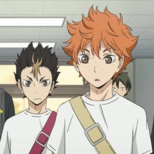 Nishinoya and Shoyo