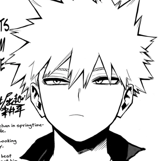 Katsuki Bakugo³¹