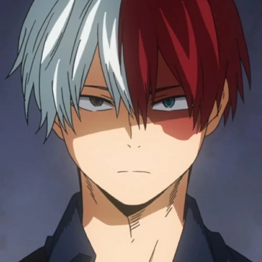 Shoto Todoroki.