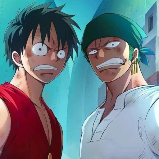 Luffy vs Zoro