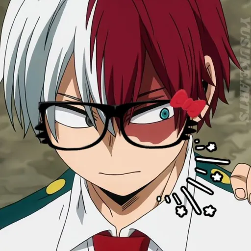 Shoto Todoroki