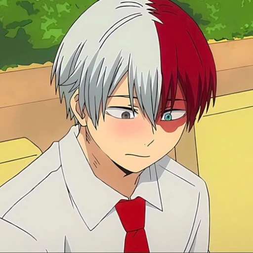 Shoto Todoroki
