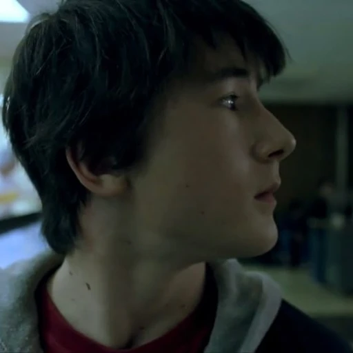Alex (Elephant 2003)