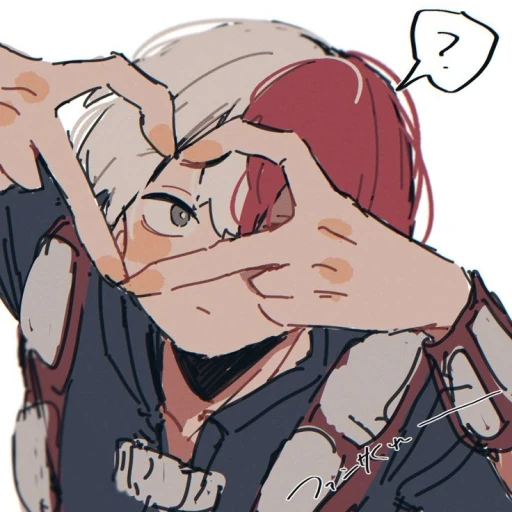 Todoroki Shoto.