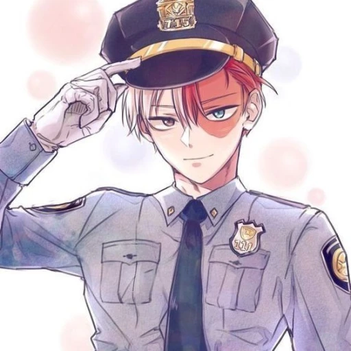 Policeman Shoto Todoroki