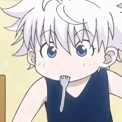 Killua Zoldyck (14)