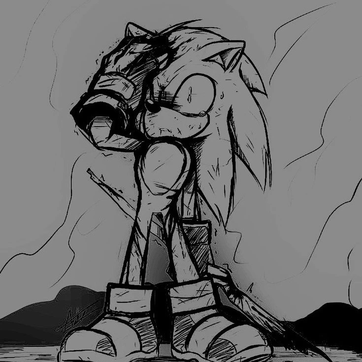 💔{Sonic...Hero?}🥀🍃