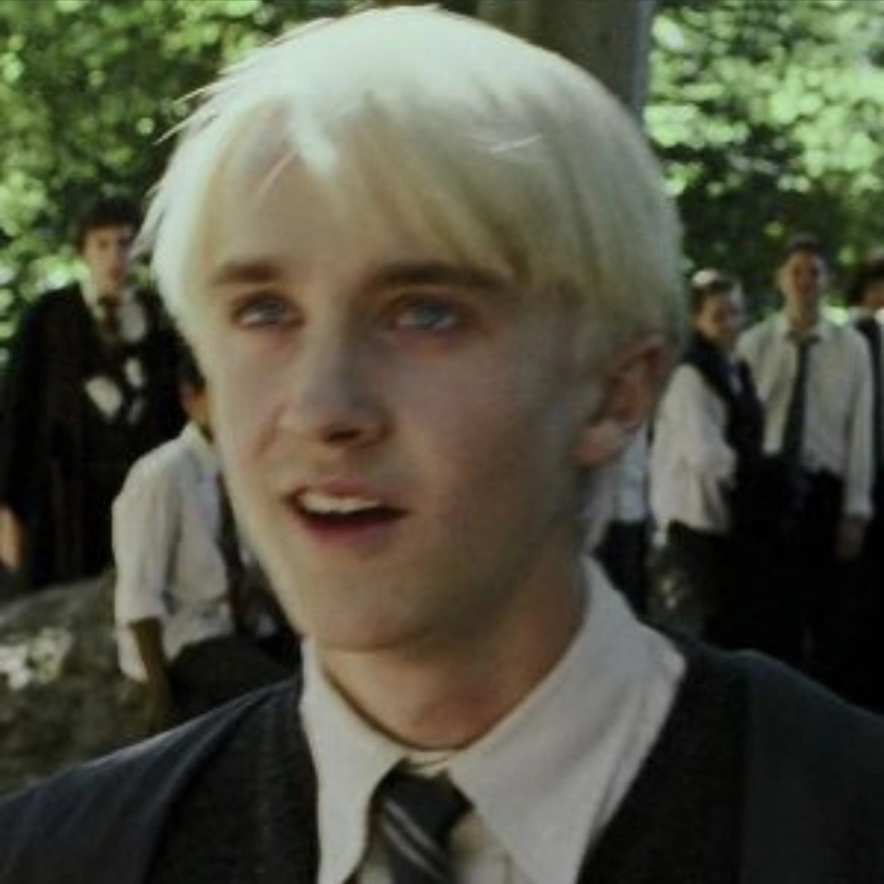 draco
