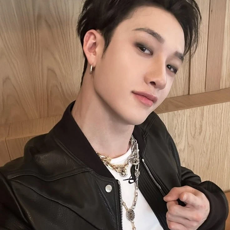 đŻď¸/Bangchan(chanmin)