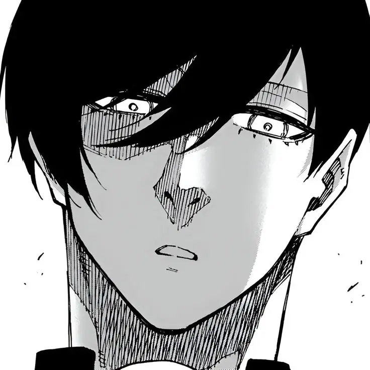 |itoshi rin|