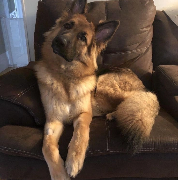 Max
