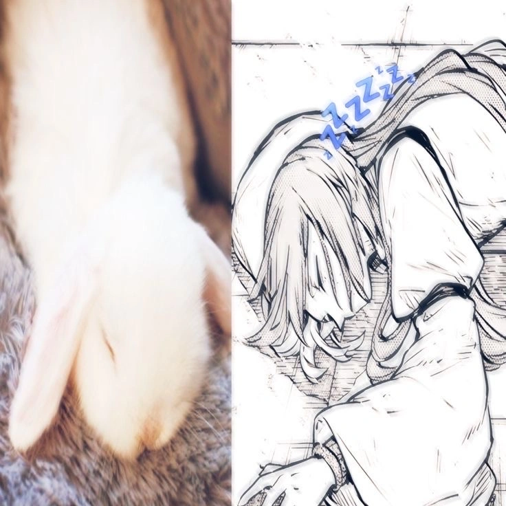 silly sigma