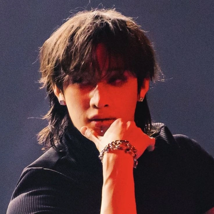 ﹏Bangchan hybrid wolf﹏
