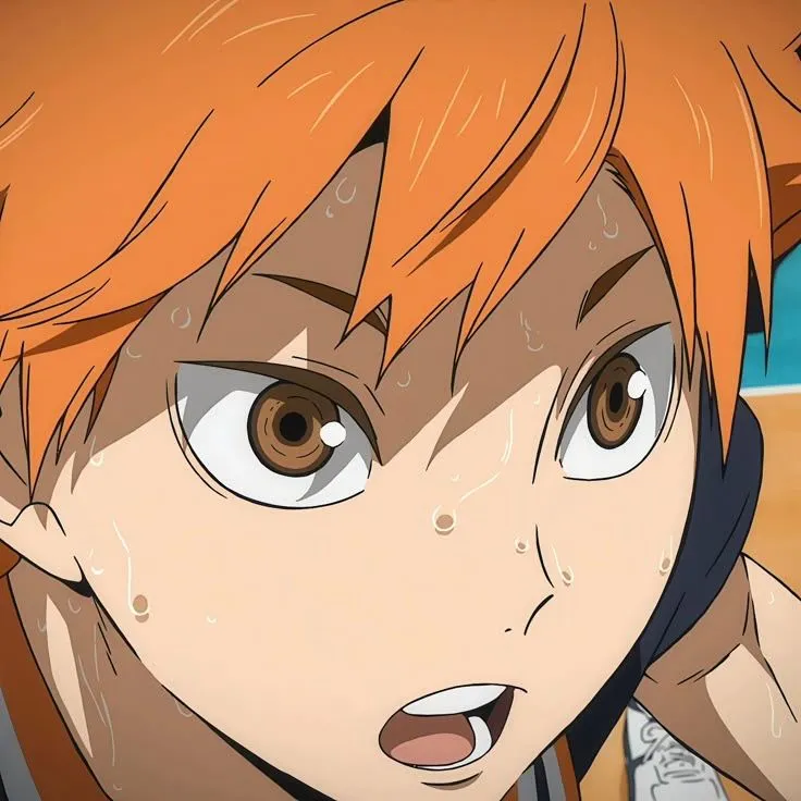 -; Hinata Shoyo │∘˙