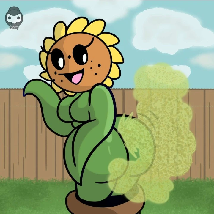 Sunflower Gases