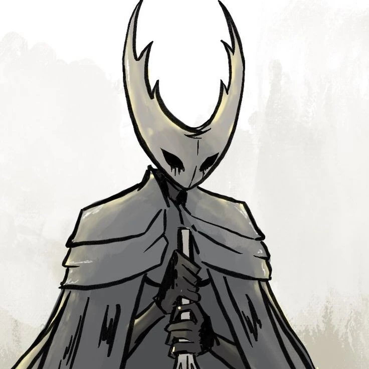 the hollow knight