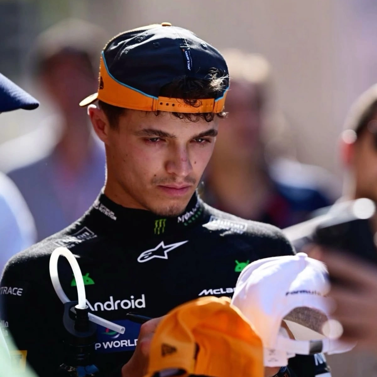 Lando Norris |001