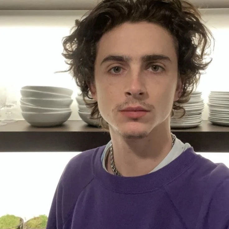 Timothée Chalamet