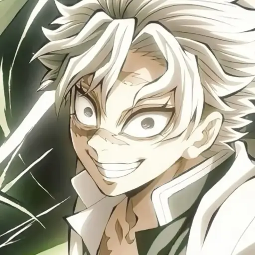 SaNemi