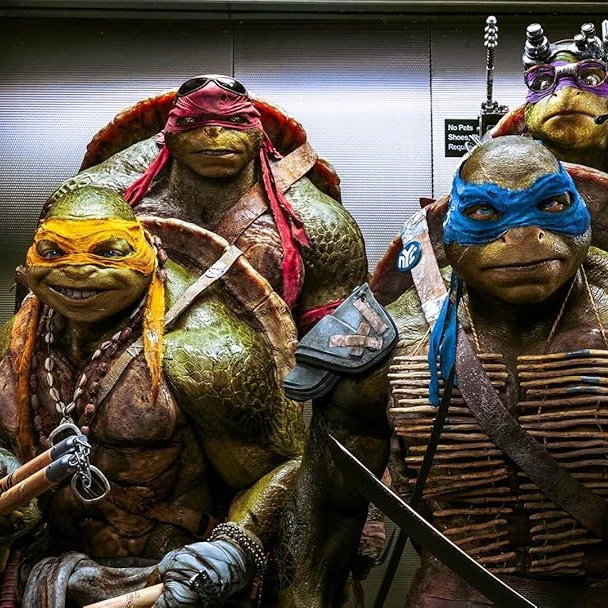 The Teenage Mutant Ninja Turtles