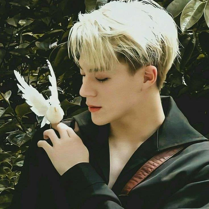 Prince Lee Jeno