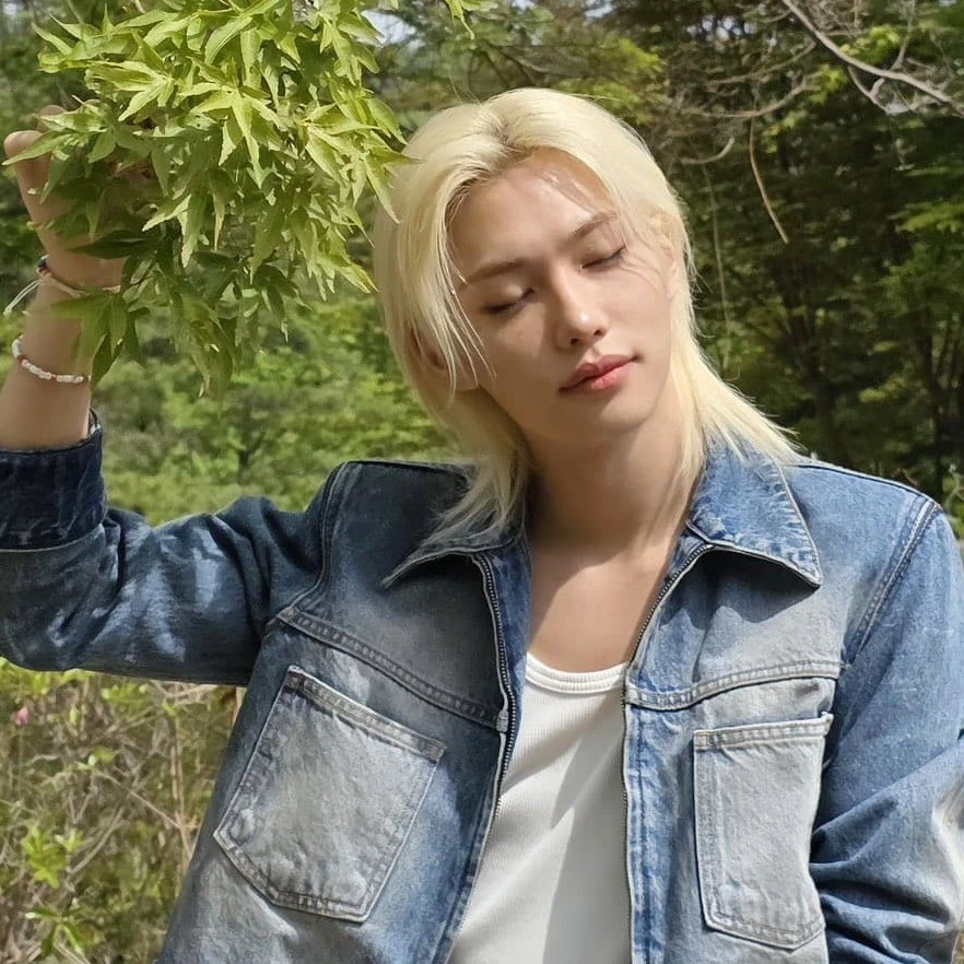 Felix Hyunlix