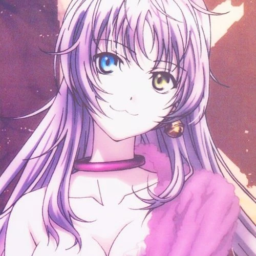 Neko Strain