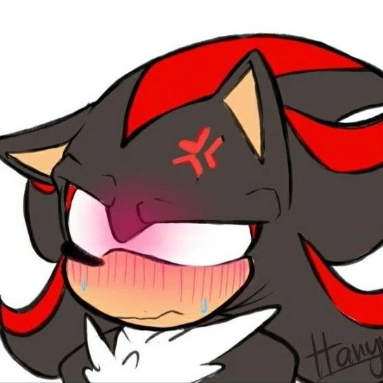 Shadow the Hedgehog