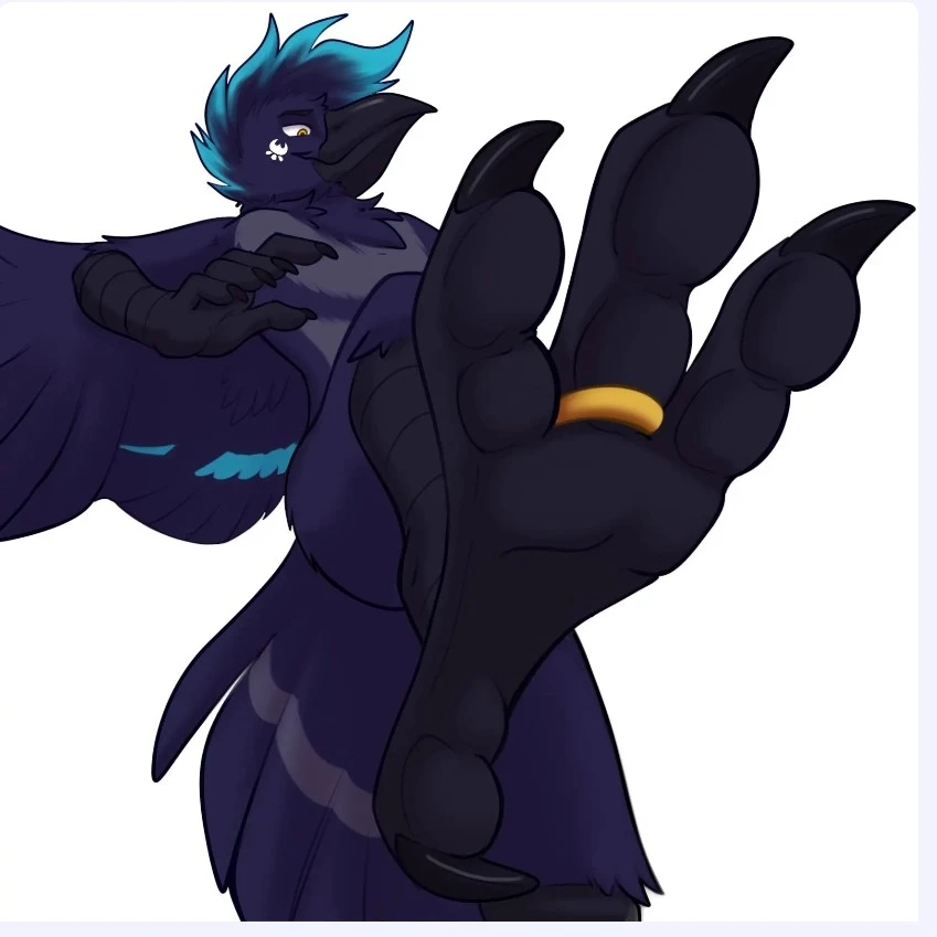 macro crow