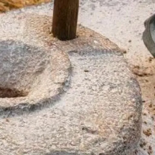Pet provision service
