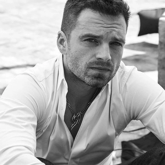 Sebastian Stan.....